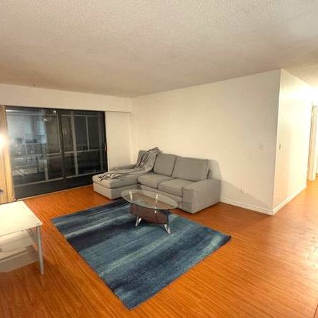 Unbeatable Richmond Center 2 bedroom 1.5 bathroom for rent - Photo 3