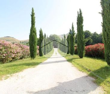 Bilocale in affitto - Photo 1