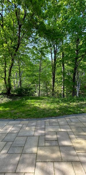 For Lease - 62 Banstock Dr Drive Unit# Unit A Main Floor, Toronto, Ontario - Photo 1