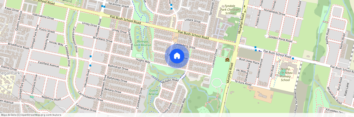 55 Castlederg Drive, Manukau City, Flat Bush