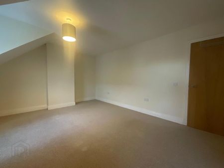 5 Meadowview, Lisburn, BT27 5WD - Photo 5