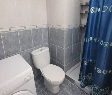 Estudio de alquiler en Calle Aceviño, Zona Botánico - Photo 1