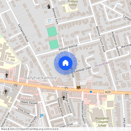 22 Eastleigh Drive, Belfast, BT4 3DX