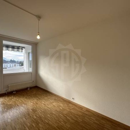 Appartement Spacieux - Chêne-Bougeries - Photo 1