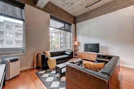 Appartement à louer - Montréal (Mercier/Hochelaga-Maisonneuve) (Hochelaga-Maisonneuve) Appartement à louer - Montréal (Mercier/Hochelaga-Maisonneuve) (Hochelaga-Maisonneuve) - Photo 5