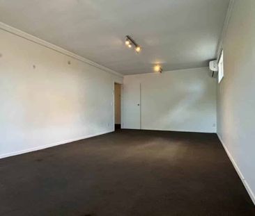 3-Bedroom Downstairs Unit in the Heart of Paku... - Photo 2