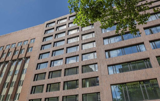 2,5-Zimmer-Neubauwohnung mit viel Platz und großzügiger Terrasse - Photo 1