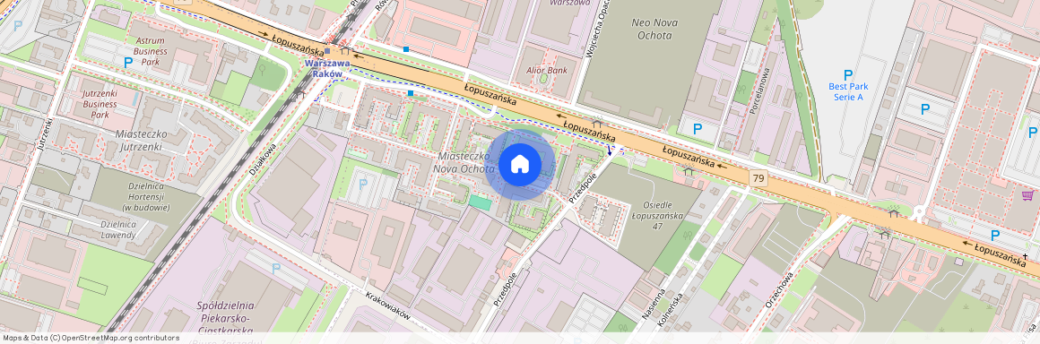 ul. Łopuszańska, Raków, Włochy, Warszawa, mazowieckie