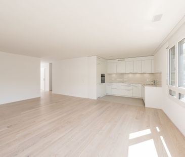 ÖV fahren, Benzinkosten sparen - Foto 3