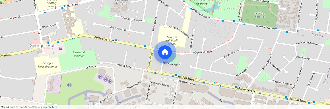 101 Birdwood Road, Georges Hall NSW