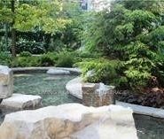 For Lease - 58 Marine Parade Drive Unit# 317, Toronto, Ontario - Photo 1