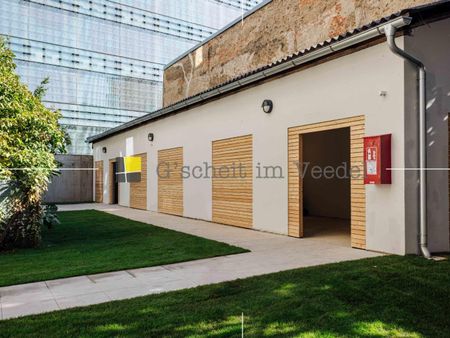 Single-Appartement mit Terrasse direkt an der TU - Single [GiV, TU] - Photo 2