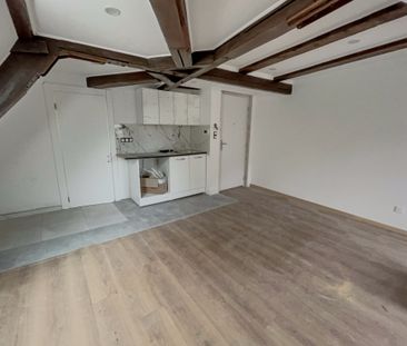 Location Appartement 1 pièce 22m² SELESTAT 67600 - Photo 1