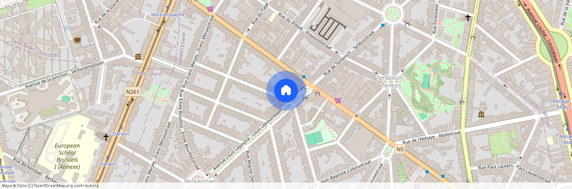 Rue De La Réforme - Hervormingsstraat, 74, 1050, Ixelles