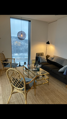 Lodjursstråket, Göteborg - Foto 1