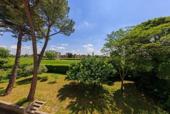 Via Cesare Cremonino, Padova, Veneto 35124