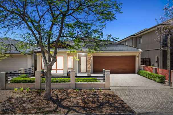 35 Charles Mathews Circle, St Clair SA 5011 - House For Rent - $780 | Domain - Photo 1