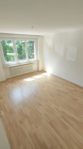 3 Zimmer, EG - Photo 2