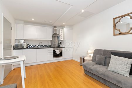 Napier Road | TOWN CENTRE | LU1 1RF - Photo 3