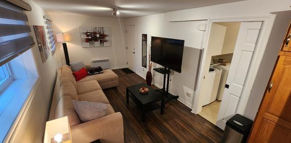 ROSEMONT – Dispo MAINTENANT – TOUT CECI MEUBLÉ- Neuf 3 1/2 – Bachelor – Près des stations de Metro Pie IX et Joliette – Bail annuel - Négociable - Photo 2