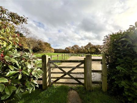 4 bedroom detached bungalow to rent - Photo 5