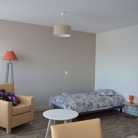 LOCATION d'un appartement meublé F1 (30 m²) à SAINT HILAIRE SAINT FLORENT - Photo 3