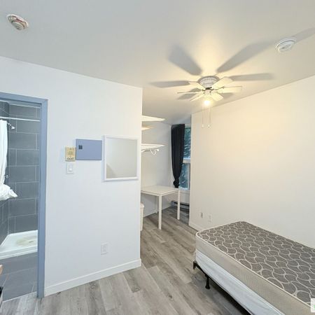 1024, rue Sherbrooke Est, Ville-Marie (Centre-Ville et Vieux-Montréal) à louer - Photo 3