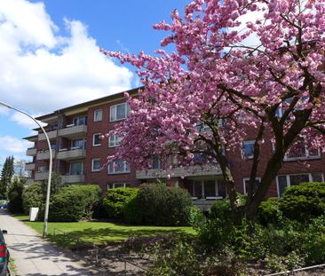 Schöne 2 2/2 Zimmer Wohnung in Bergedorf - Photo 3