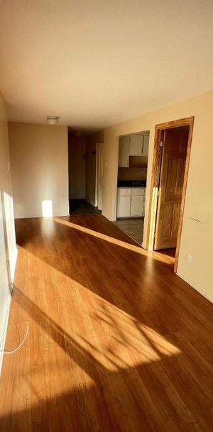 1 CH - 1 SDB - Montréal - $1,250 /mo - Photo 1