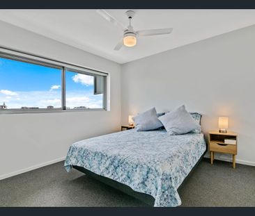 Modern Furnished Apartment in Cotton Tree - leave the car at home! - Photo 3