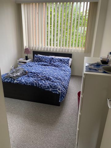 St Leonards - Photo 4