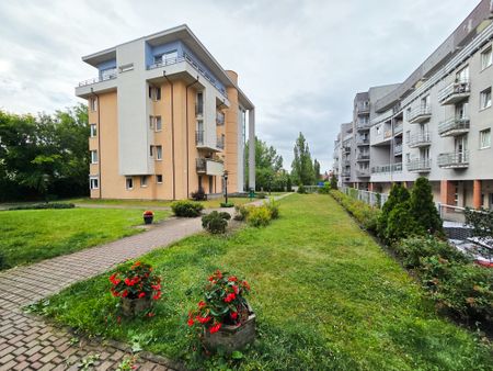 Mieszkanie wynajem Poznań,Grunwald, Wojskowa 84m2 - Photo 3