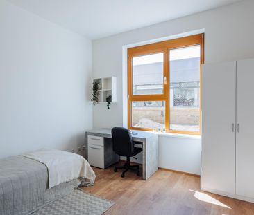 Möblierte 3-Zimmer-Übergangswohnung - Pauschalmiete inkl. Strom & H... - Photo 2