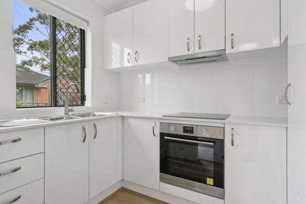 Renovated 1 bedroom Unit with Large Balcony - Photo 1