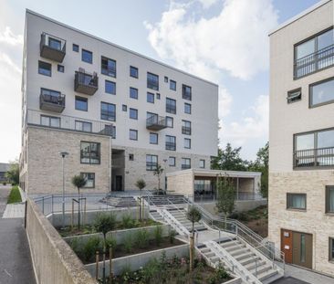 Sankt Hans Gränd 58 - Photo 4