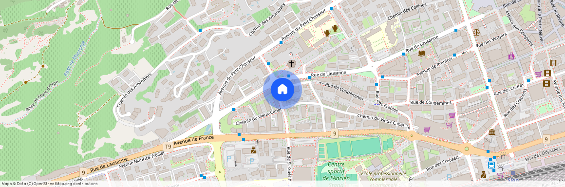 Rue St-Guérin 11, 1950 Sion