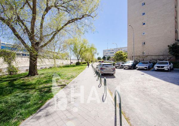Habitación - Madrid - Pinar del Rey - 475€ MES - Ref. GPP523489