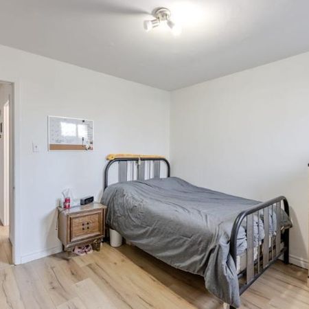 Appartement 4 ½ à louer Lévis juillet 2026 - Photo 3