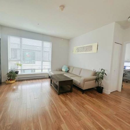 Burnaby 2 Bedrooms, 2 Bathrooms Penthouse for Rent - Photo 3