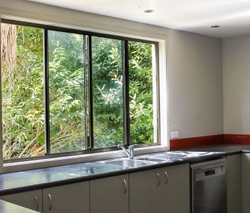 Large bottom floor apartment. 500m to Havelock CBD - Photo 5