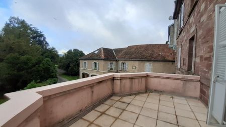 BEAU T2 CENTRE MELISEY AVEC BALCON TERRASSE - Photo 3