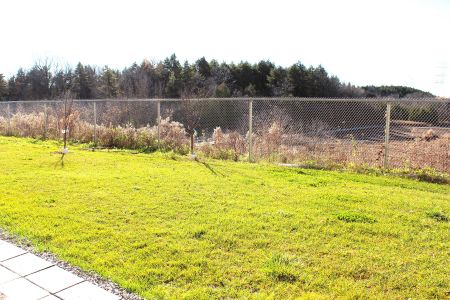 For Lease - 2524 Orchestrate Drive Unit# Lower Level, Oshawa, Ontario - Photo 2