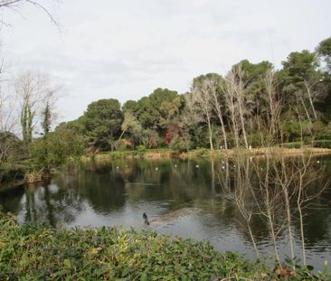 Location Appartement 3 pièces 51m² SIX FOURS LES PLAGES 83140 - Photo 5