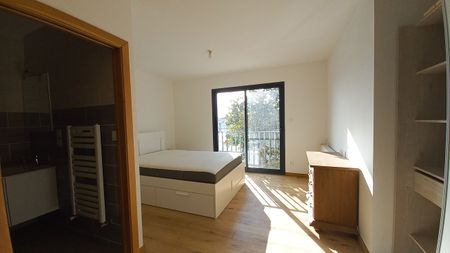 Location Maison 7 pièces 180m² FROUZINS 31270 - Photo 3