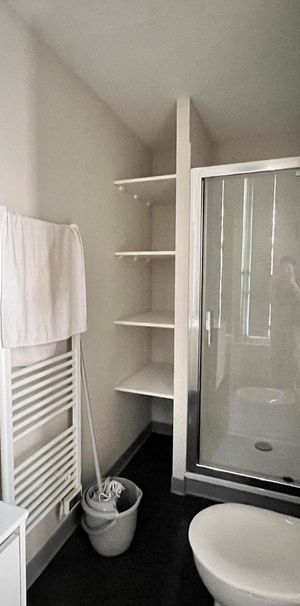 Location Appartement 1 pièce 15m² GRENOBLE 38000 - Photo 1