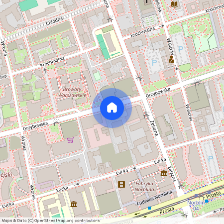 ul. Grzybowska, Mirów, Wola, Warszawa, mazowieckie