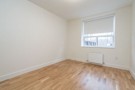 56 Eccleston Drive - Photo 3