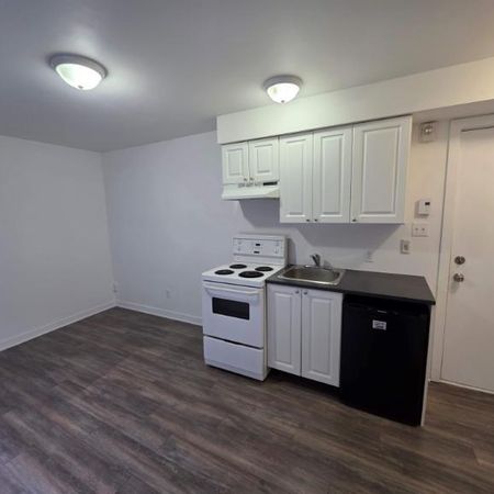 1 CH - 1 SDB - Montréal - $1,095 /mo - Photo 4