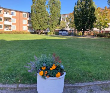 Tövädersgatan 3 B, 75431, Uppsala - Foto 3