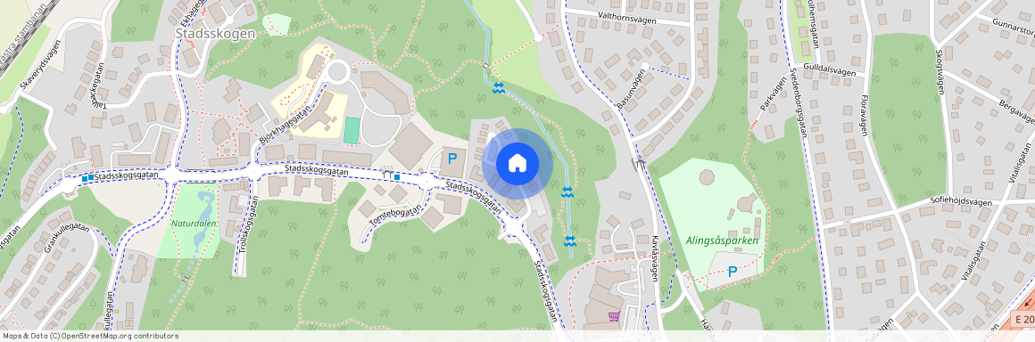 Bergakungsgatan, Alingsås